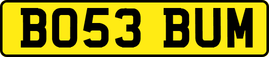 BO53BUM