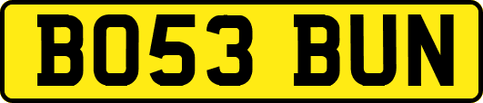 BO53BUN