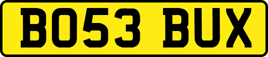 BO53BUX