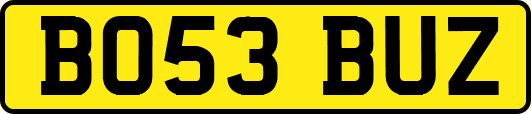 BO53BUZ