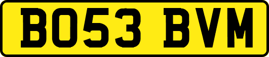BO53BVM