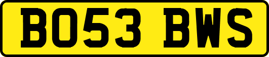 BO53BWS