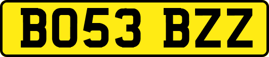 BO53BZZ