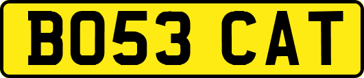BO53CAT