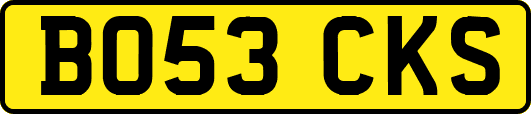 BO53CKS