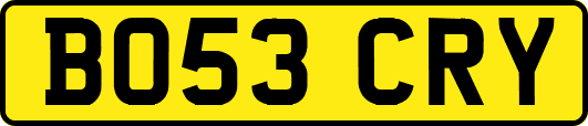 BO53CRY