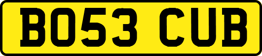 BO53CUB