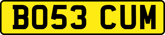 BO53CUM