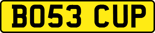 BO53CUP