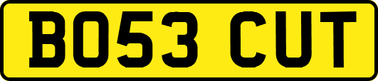 BO53CUT