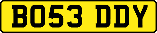 BO53DDY