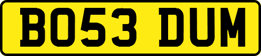 BO53DUM