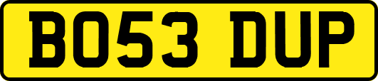 BO53DUP