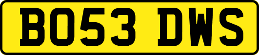 BO53DWS
