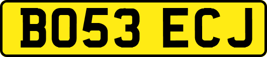 BO53ECJ
