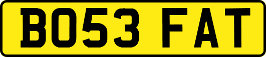 BO53FAT