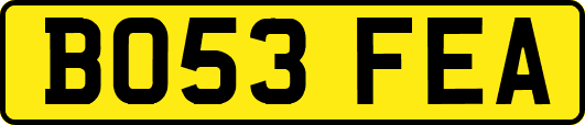 BO53FEA