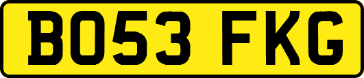BO53FKG