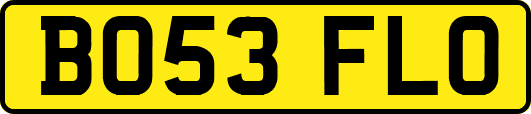 BO53FLO