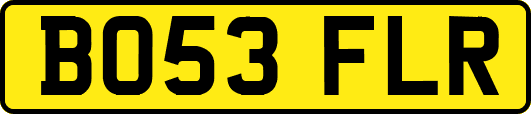 BO53FLR