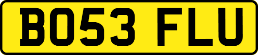 BO53FLU