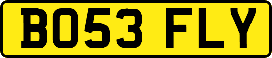 BO53FLY