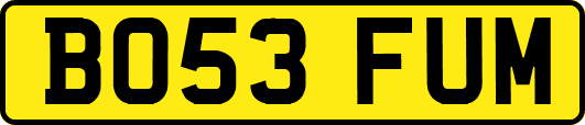 BO53FUM