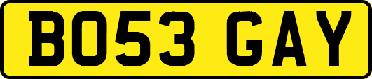 BO53GAY