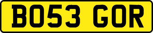 BO53GOR