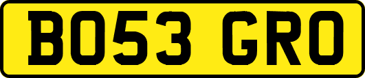 BO53GRO