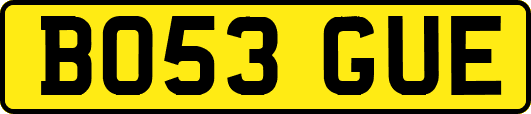 BO53GUE