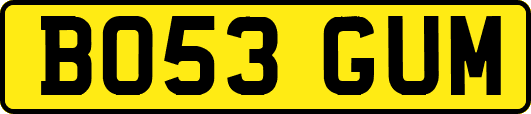 BO53GUM