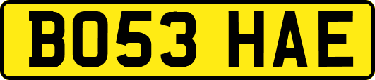 BO53HAE