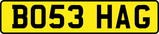 BO53HAG