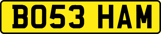 BO53HAM