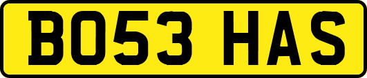 BO53HAS