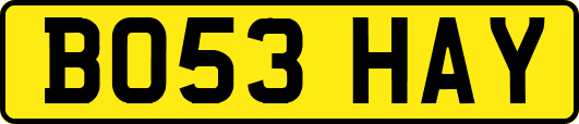 BO53HAY
