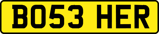 BO53HER