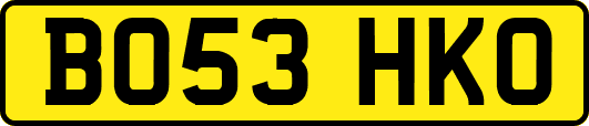 BO53HKO