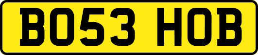 BO53HOB