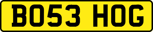 BO53HOG