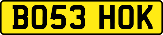 BO53HOK
