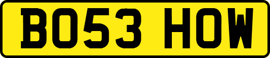 BO53HOW