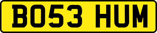 BO53HUM