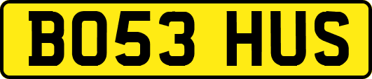 BO53HUS