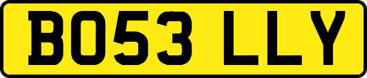 BO53LLY