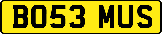 BO53MUS