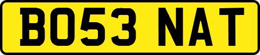 BO53NAT