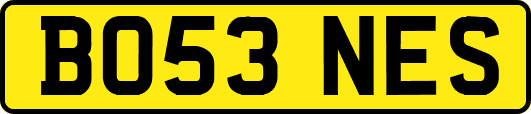 BO53NES