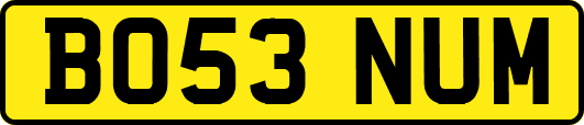 BO53NUM